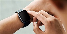 EPT電池品質(zhì)高，鎳氫和鋰電都表現(xiàn)不俗